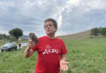 Alla scoperta dell’avifauna del Parco di Colfiorito con Alfiero Pepponi