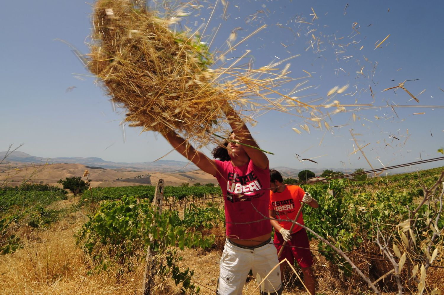 Le mense scolastiche di Foligno aiutano “Libera Terra”