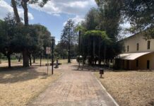 In seconda commissione il futuro di Orti Orfini e Parco Hoffman