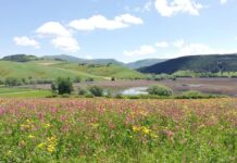Il Parco di Colfiorito anima le sagre degli altipiani tra escursioni e birdwatching