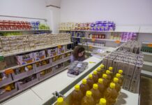 Servizio civile, la Caritas cerca 14 operatori