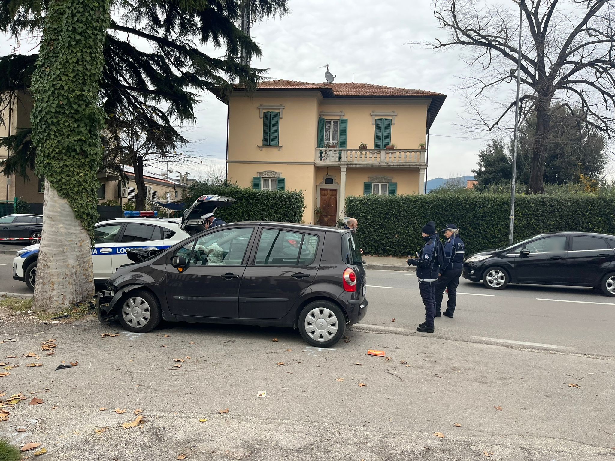 Finisce con l’auto contro un albero: donna di 76 anni perde la vita a ...