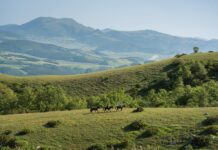 Giornata dei cieli blu: Afrile promuove un fine settimana di eventi tra ambiente e cultura