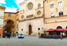 Caso Castellani, parla il legale: “Nessuna finalità letale, né aggressione brutale”