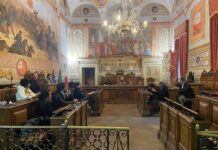 Sicurezza e movida: in commissione il dibattito sulla figura dello street tutor