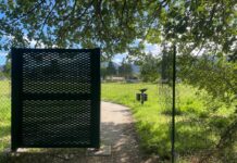 Inaugurato e poi chiuso, dopo due anni riapre il Parco Flaminio