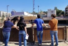 Quintana, al Campo de li Giochi giornata di previsite: 50 i cavalli controllati