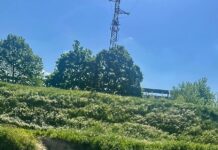 Pulizia straordinaria del Topino, raccolti dieci sacchi di rifiuti: spunta anche uno pneumatico