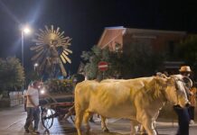 Dalla benedizione dei trattori alla processione, Foligno celebra Sant’Isidoro