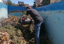 Foligno, torna la raccolta straordinaria del verde: i prossimi appuntamenti