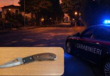 Sferra calci contro i portoni e tenta di lanciare un sasso ai carabinieri: arrestato 29enne