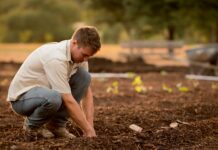 Umbria, 9 milioni per i giovani agricoltori: il premio a fondo perduto sale a 70mila euro
