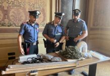 In auto con la marijuana e nel garage una serra: arrestato 30enne