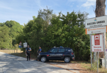 Condannato per frode informatica e dichiarazione fraudolenta 63enne di Nocera Umbra finisce in carcere